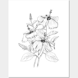 hibiscus flower black and white ink  illustration Posters and Art